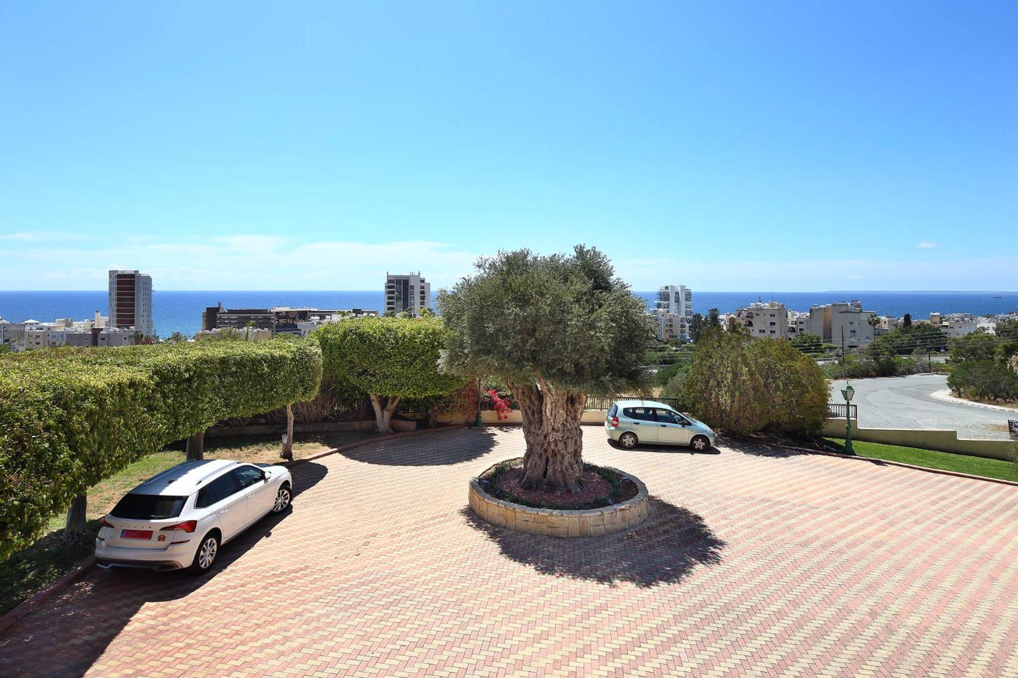 Olive Tree Apartments Limassol Zewnętrze zdjęcie