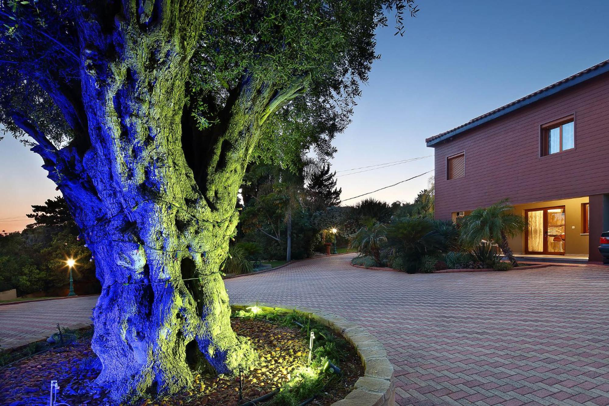 Olive Tree Apartments Limassol Zewnętrze zdjęcie