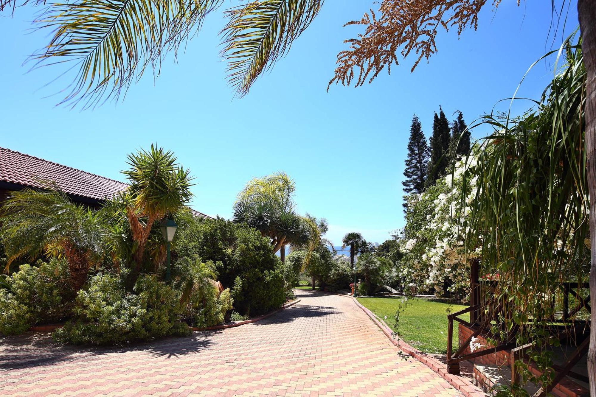Olive Tree Apartments Limassol Zewnętrze zdjęcie