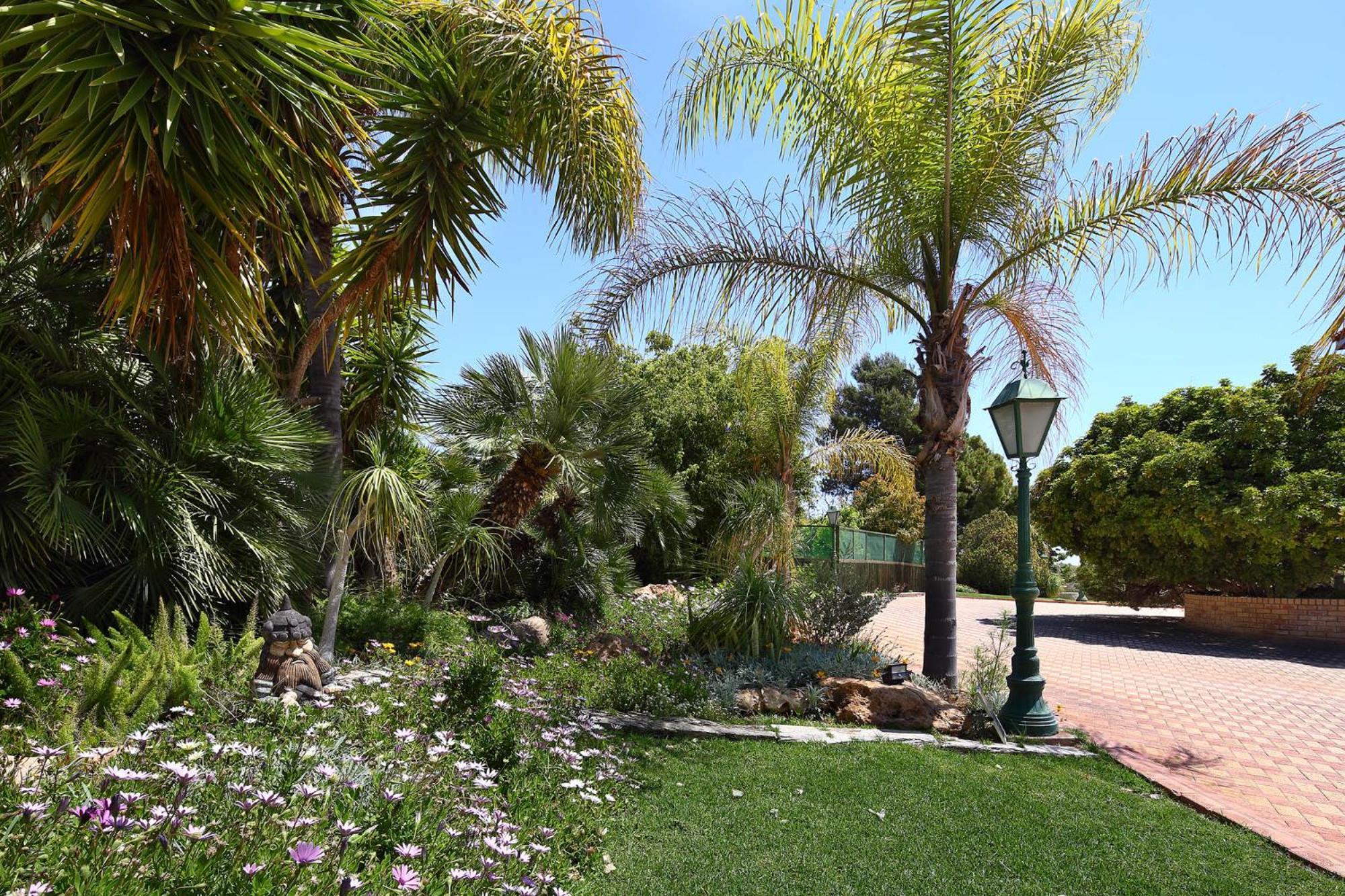 Olive Tree Apartments Limassol Zewnętrze zdjęcie