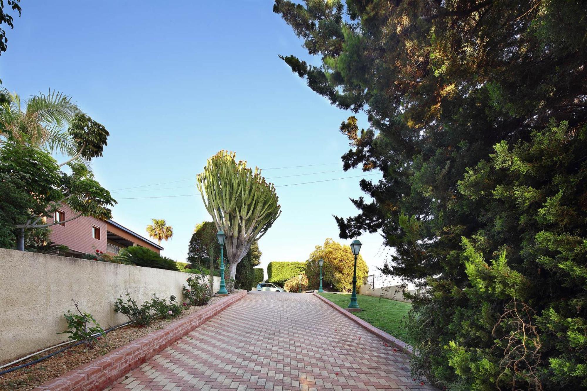Olive Tree Apartments Limassol Zewnętrze zdjęcie